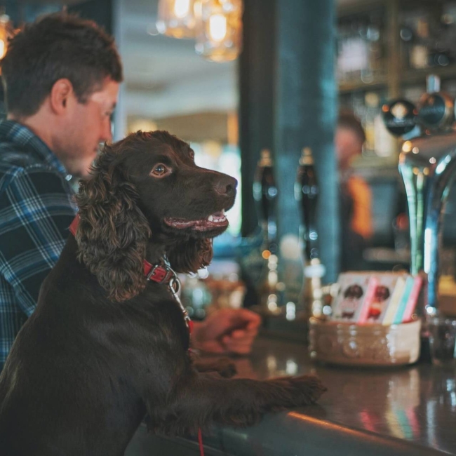 Eat drink paw bar eatery